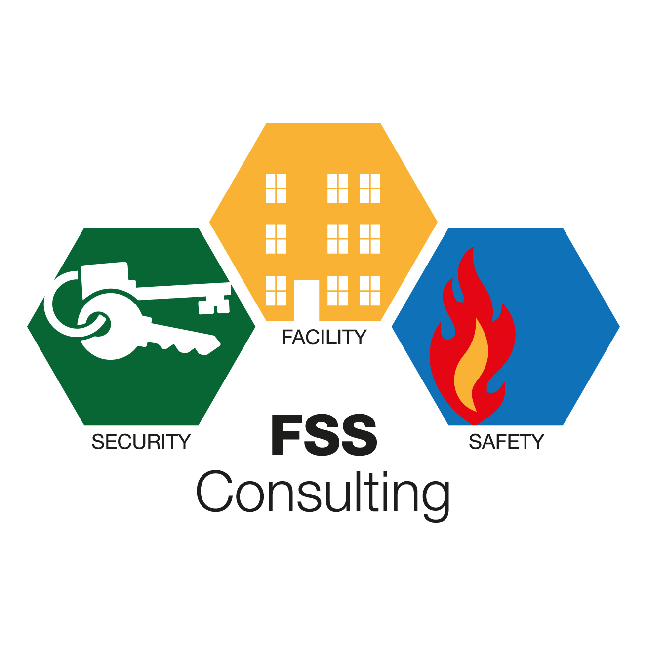 FSS Consulting e.U.